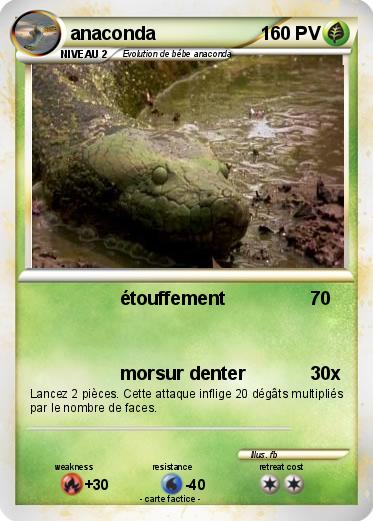Pokemon anaconda
