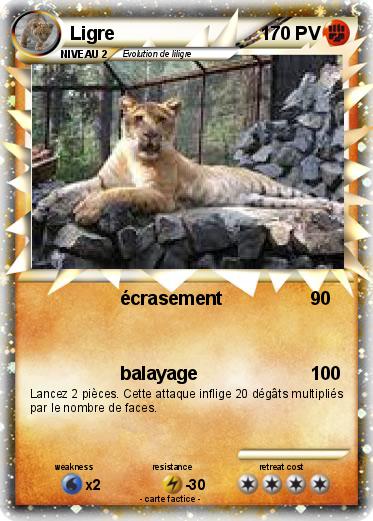 Pokemon Ligre