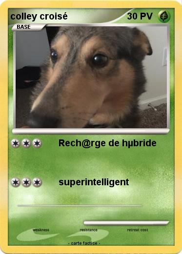 Pokemon colley croisé