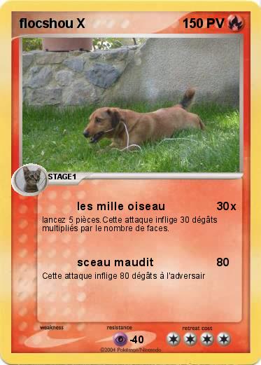 Pokemon flocshou X