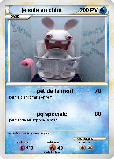 Pokemon je suis au chiot