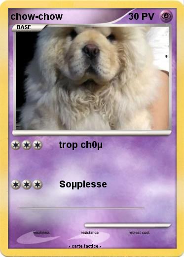 Pokemon chow-chow