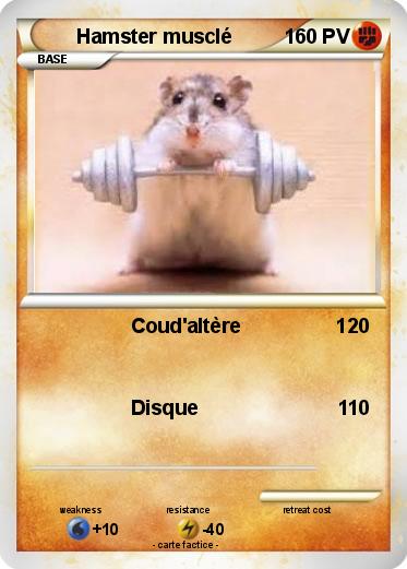 Pokemon Hamster musclé