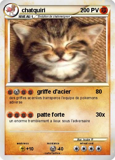 Pokemon chatquiri