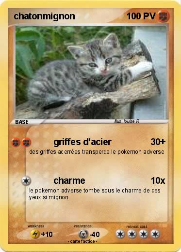 Pokemon chatonmignon