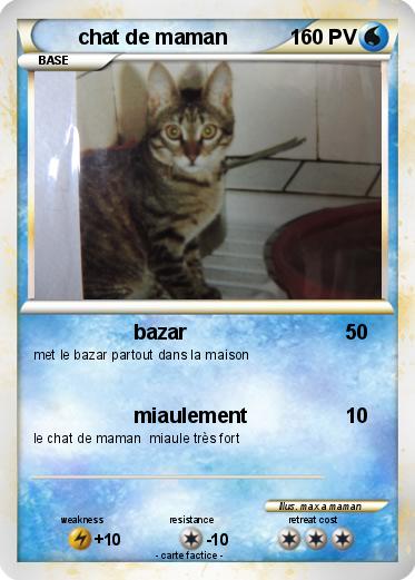 Pokemon chat de maman