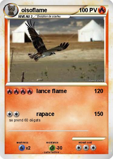 Pokemon oisoflame