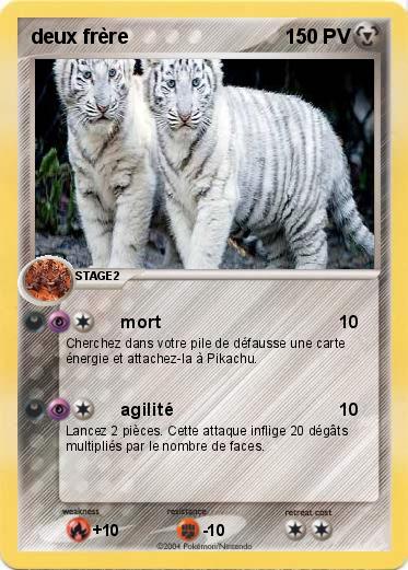 Pokemon deux frère