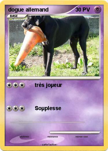Pokemon dogue allemand