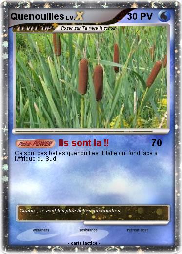 Pokemon Quenouilles