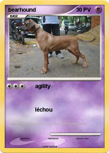 Pokemon bearhound