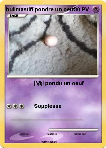 Pokemon bullmastiff pondre un oeuf