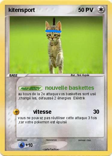 Pokemon kitensport