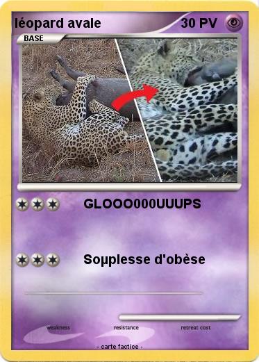 Pokemon léopard avale