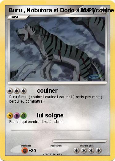 Pokemon Buru , Nobutora et Dodo à mal ( couine )