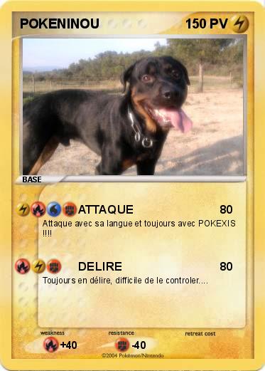 Pokemon POKENINOU