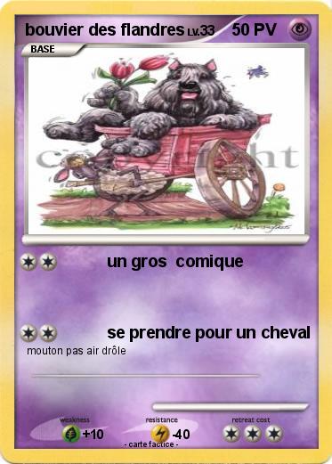 Pokemon bouvier des flandres