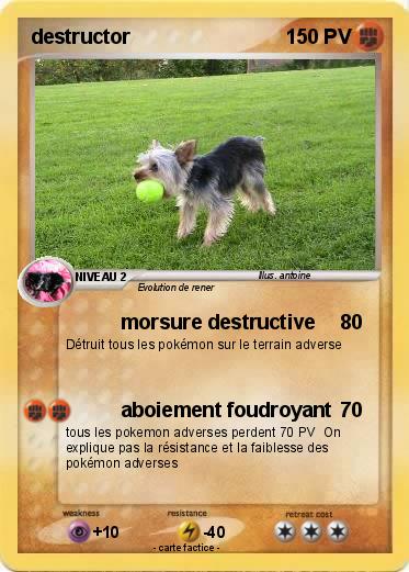 Pokemon destructor