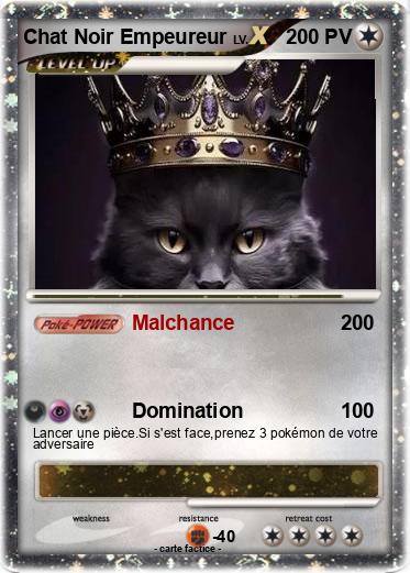 Pokemon Chat Noir Empeureur