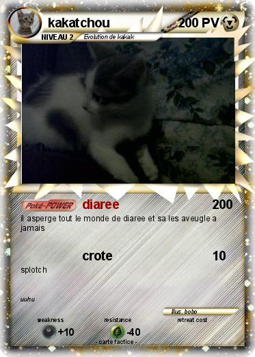 Pokemon kakatchou