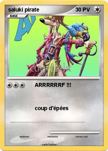 Pokemon saluki pirate