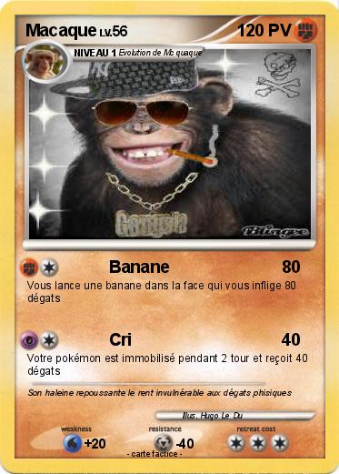 Pokemon Macaque