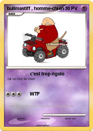 Pokemon bullmastiff , homme-chien