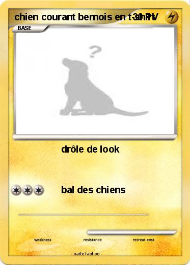 Pokemon chien courant bernois en t-shirt
