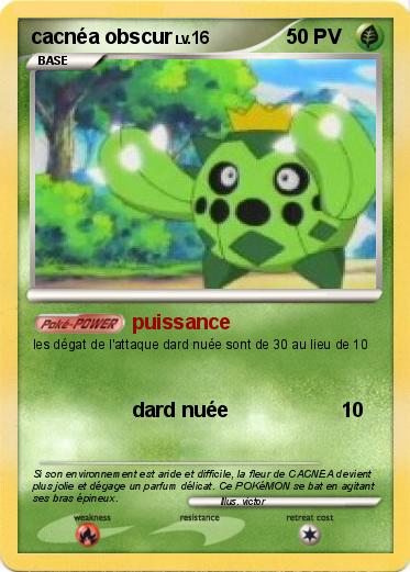 Pokemon cacnéa obscur