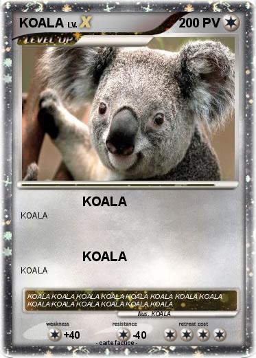 Pokemon KOALA