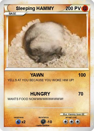 Pokemon Sleeping HAMMY