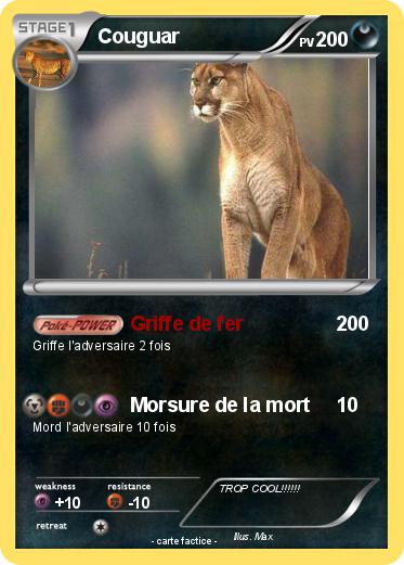 Pokemon Couguar