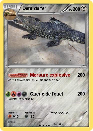 Pokemon Dent de fer