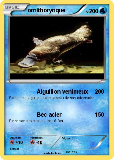 Pokemon ornithorynque