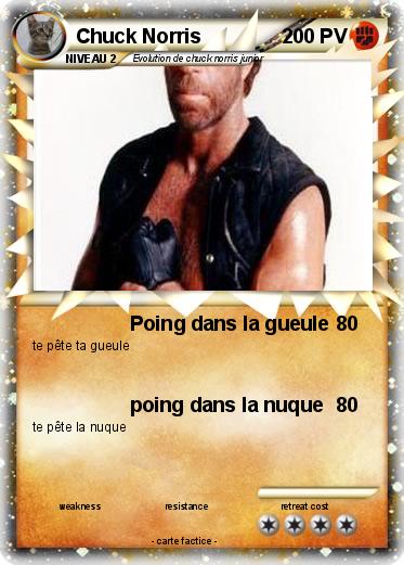Pokemon Chuck Norris