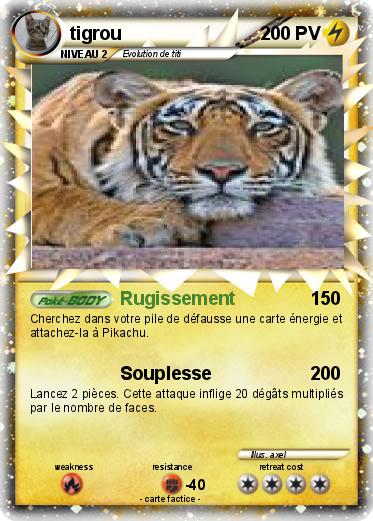 Pokemon tigrou