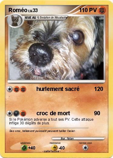 Pokemon Roméo