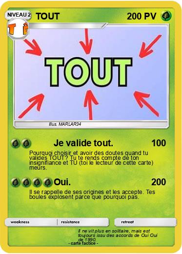 Pokemon TOUT