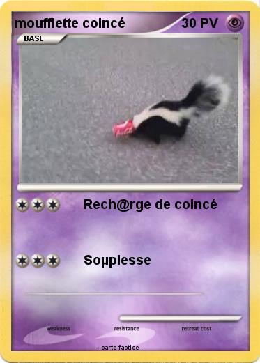 Pokemon moufflette coincé