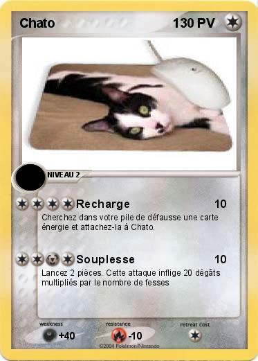Pokemon Chato                                 1