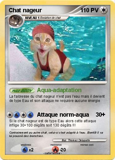 Pokemon Chat nageur