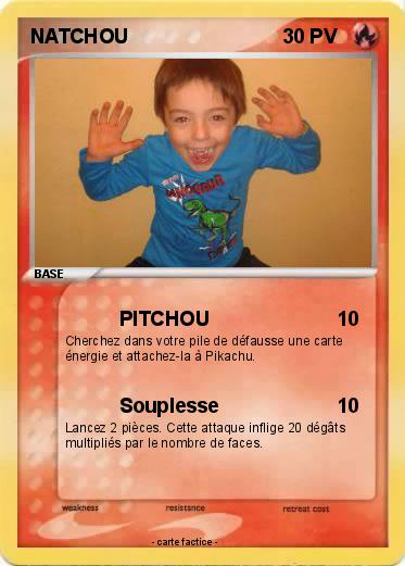 Pokemon NATCHOU