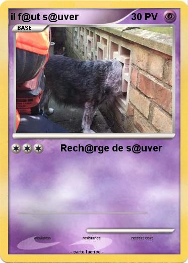 Pokemon il f@ut s@uver