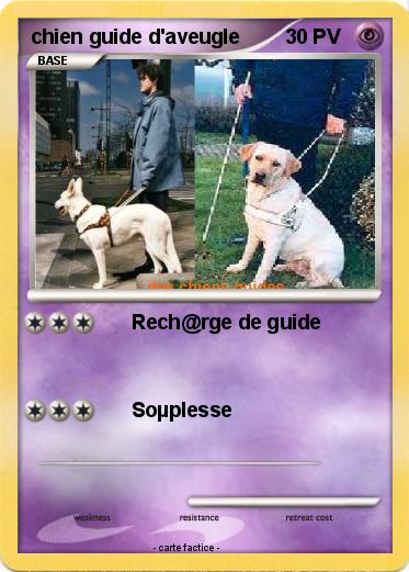 Pokemon chien guide d'aveugle