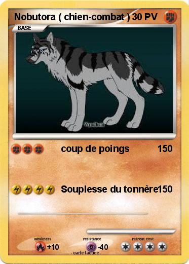 Pokemon Nobutora ( chien-combat )