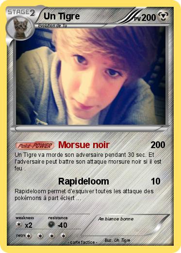 Pokemon Un Tigre