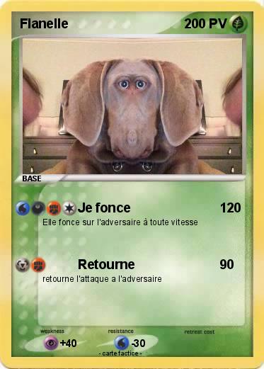 Pokemon Flanelle