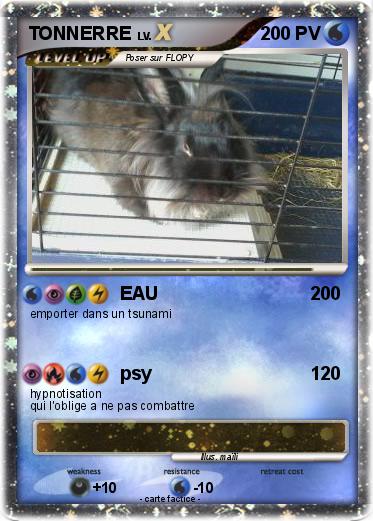 Pokemon TONNERRE