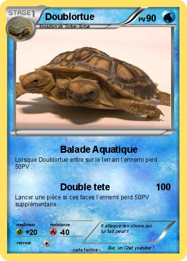 Pokemon Doublortue