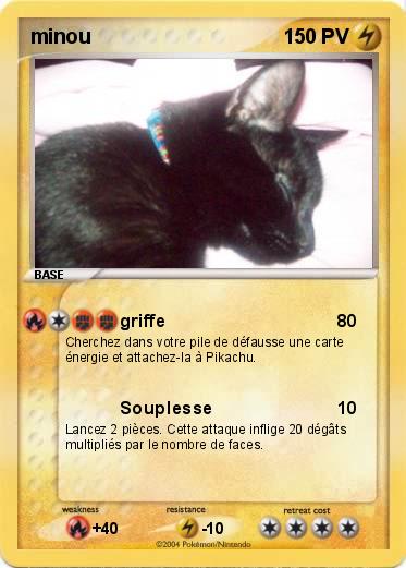 Pokemon minou
